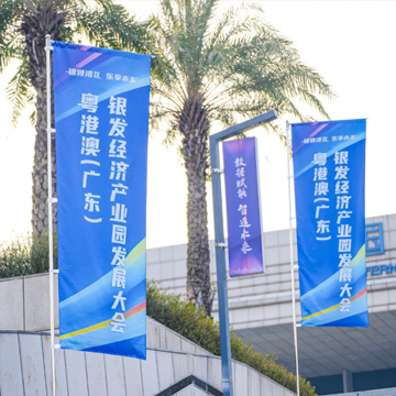 活动案例 | 粤港澳银发经济产业园发展大会